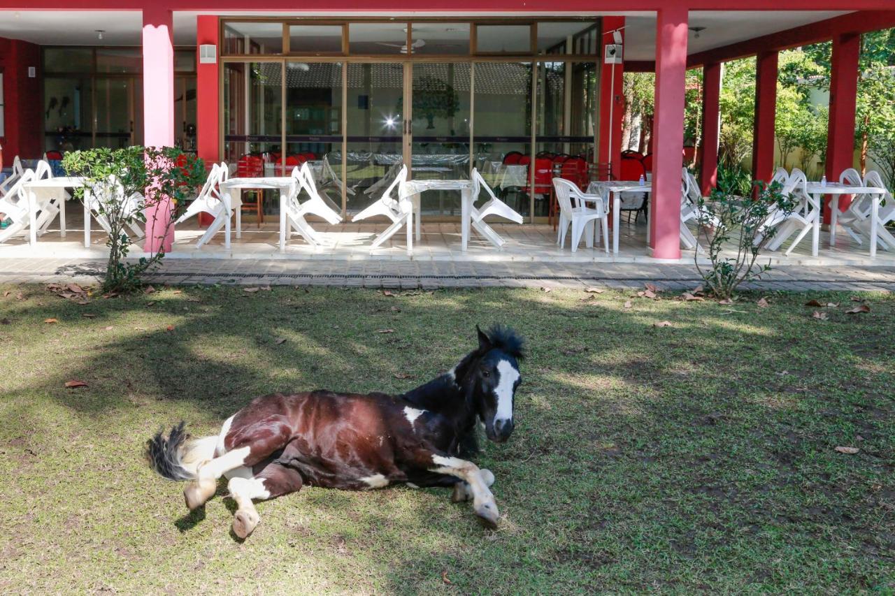 Indaia Praia Hotel Bertioga Exterior photo
